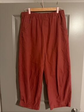 Universal Thread Elastic Waist barrel pant